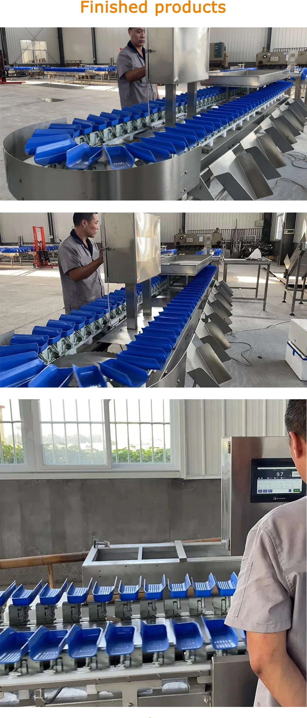 Ty-Jyh103p85-01-12 Full Stainless Steel Frame Belt Conveying Weight Checking Sorting Machine